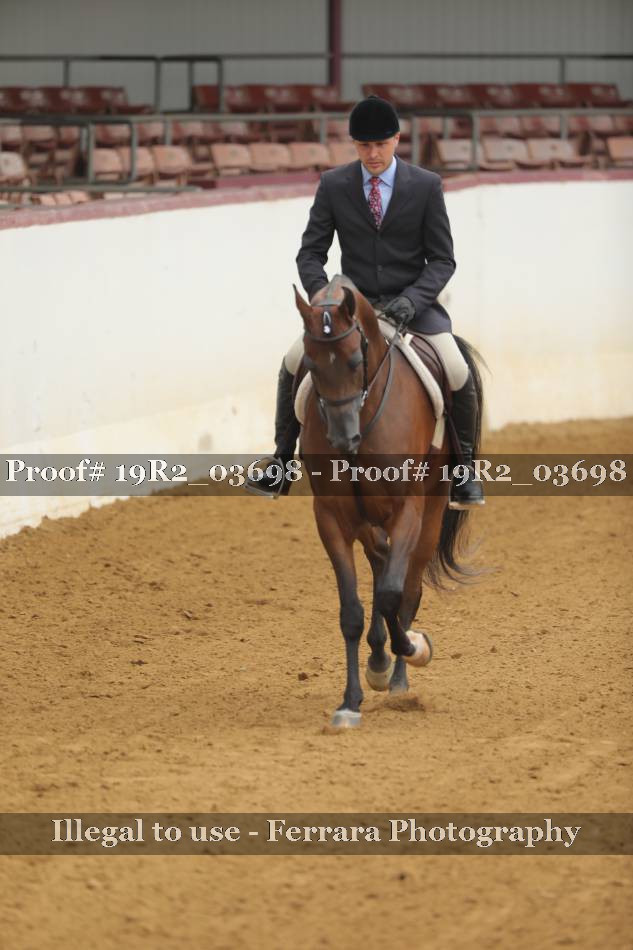 Proof 19R2_03698