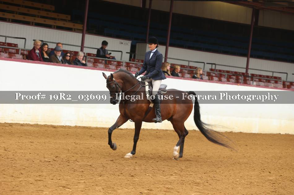 Proof 19R2_03699