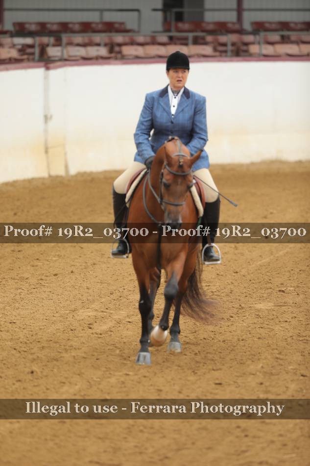 Proof 19R2_03700