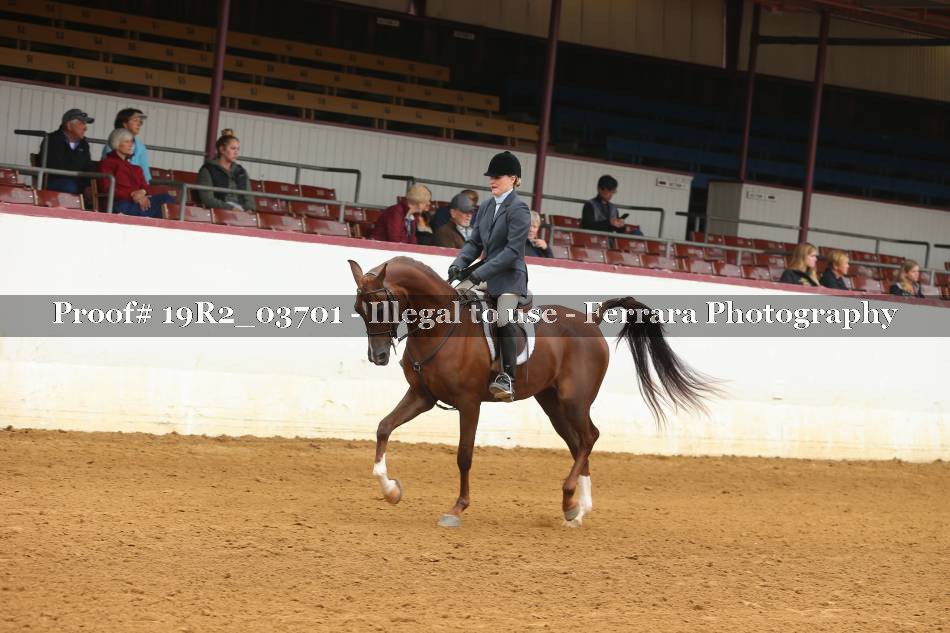 Proof 19R2_03701