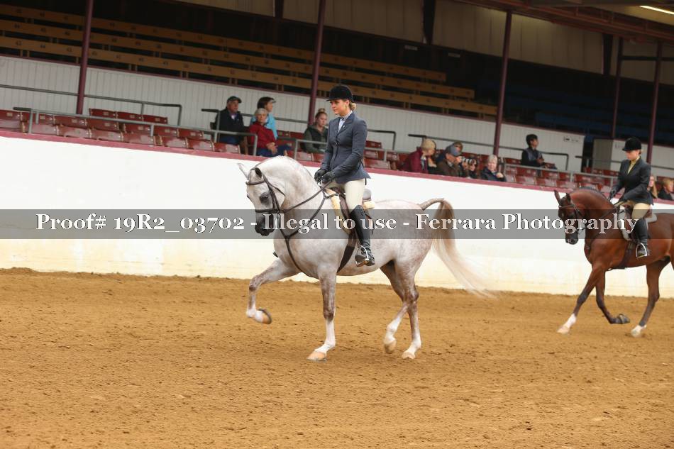 Proof 19R2_03702