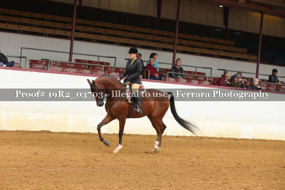 Proof 19R2_03703