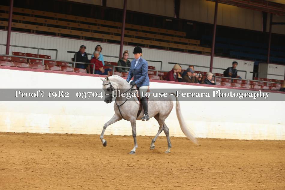 Proof 19R2_03704