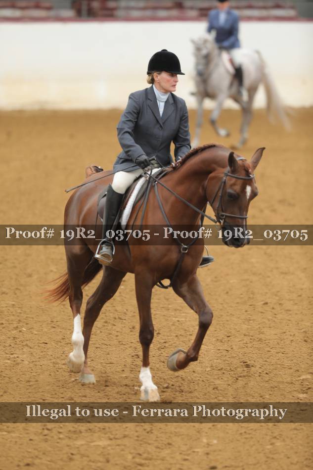 Proof 19R2_03705