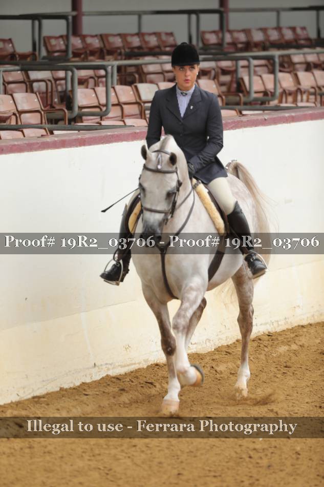 Proof 19R2_03706