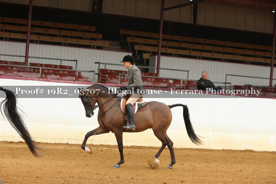 Proof 19R2_03707