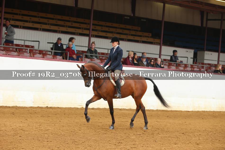 Proof 19R2_03708