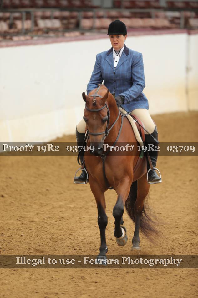 Proof 19R2_03709