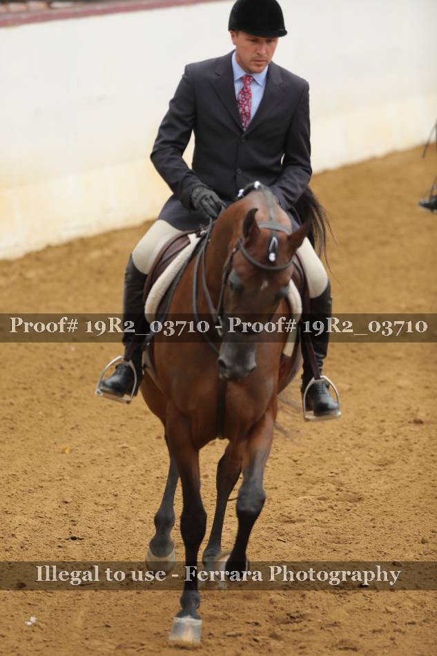 Proof 19R2_03710