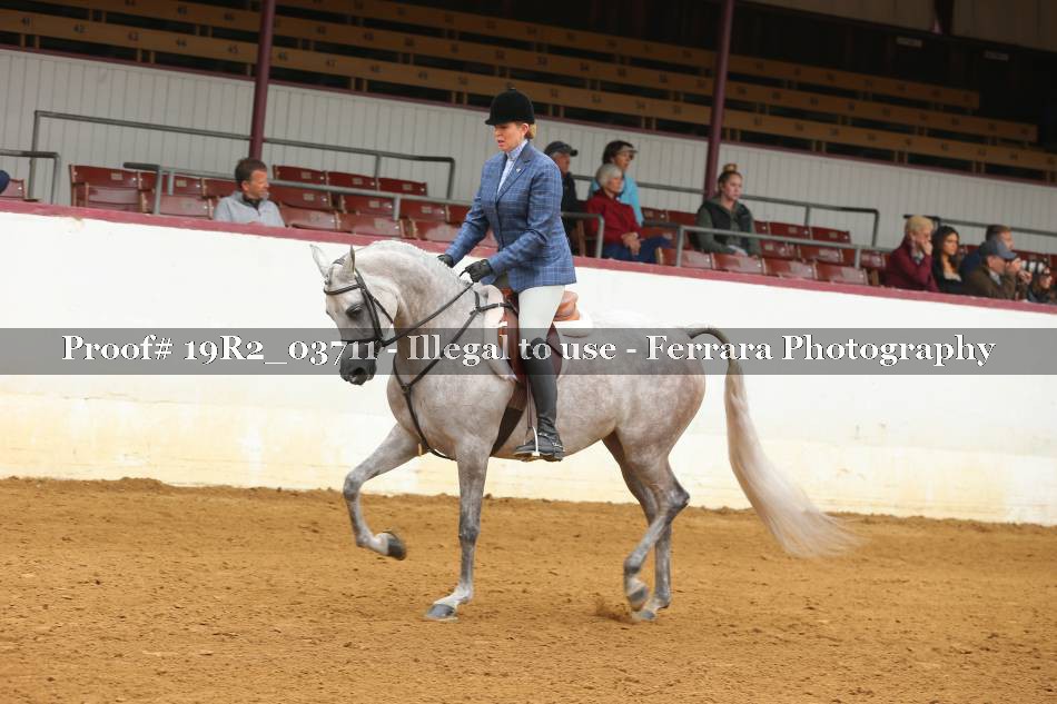 Proof 19R2_03711