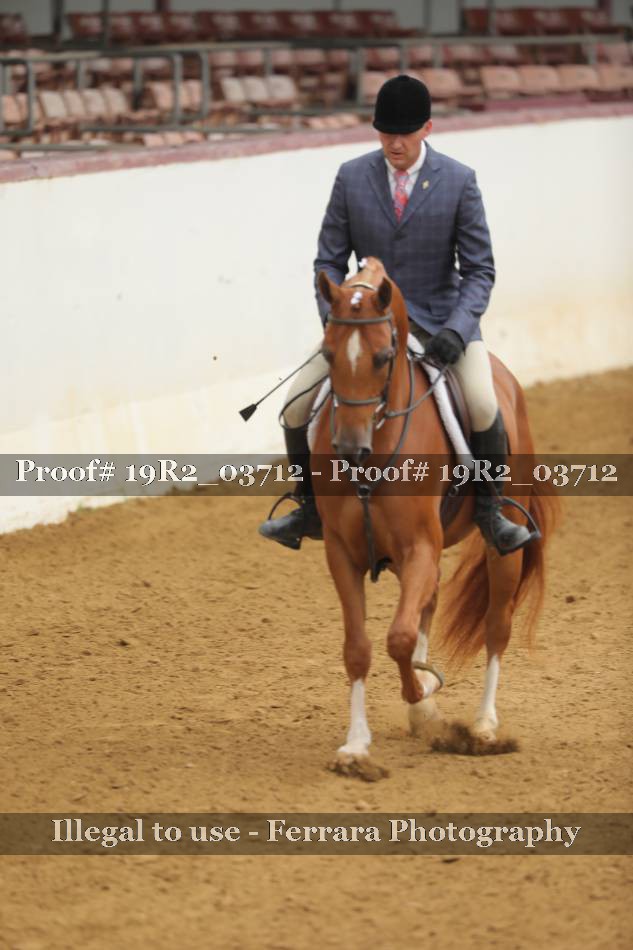Proof 19R2_03712