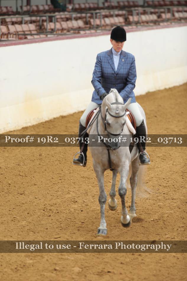 Proof 19R2_03713