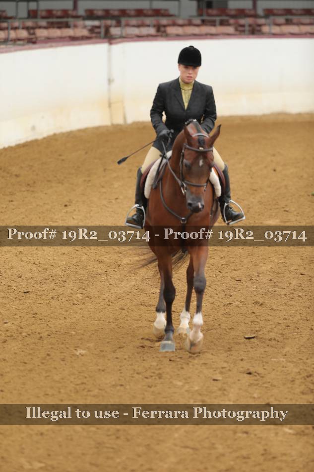 Proof 19R2_03714