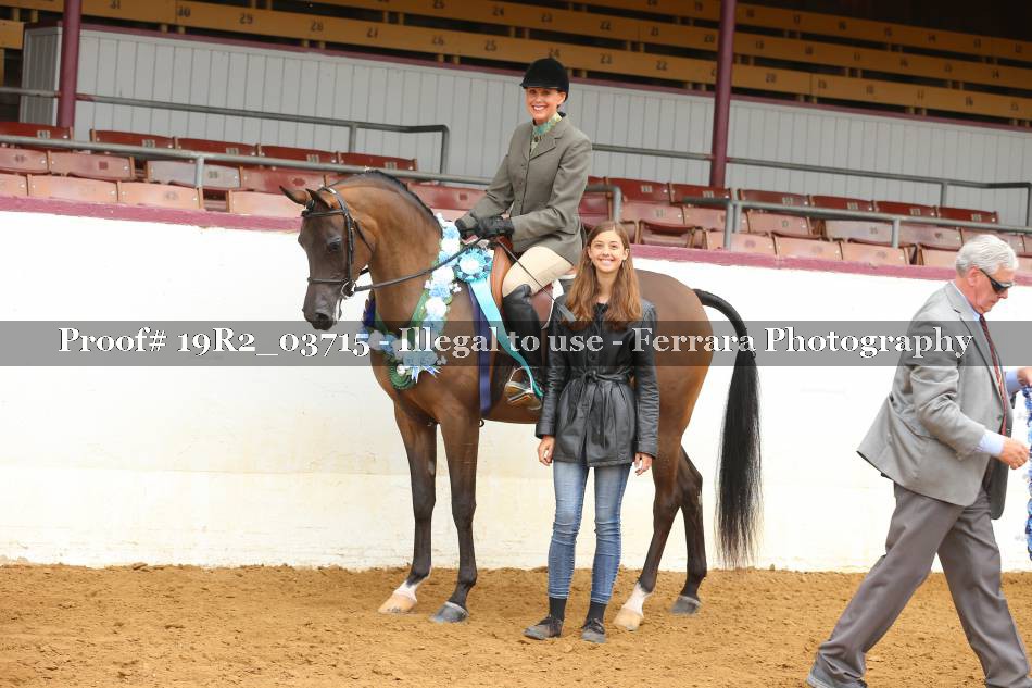 Proof 19R2_03715