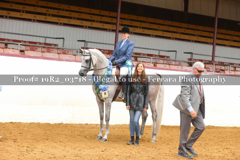 Proof 19R2_03718