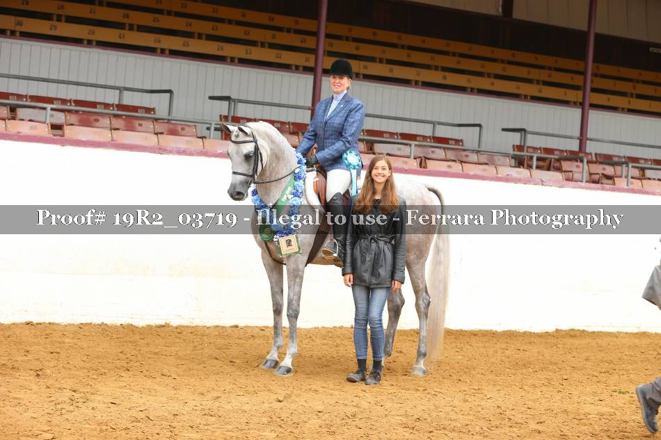 Proof 19R2_03719