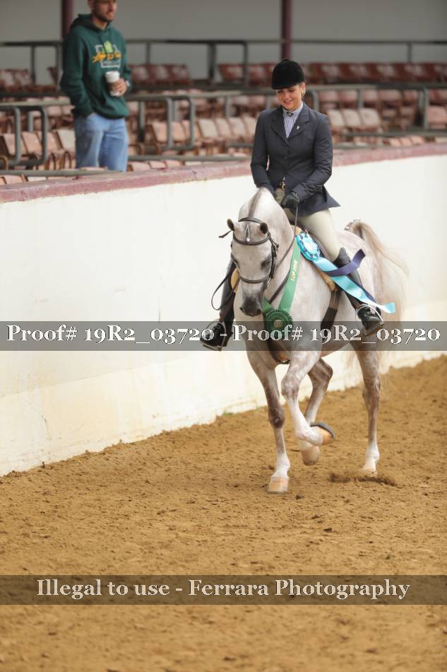 Proof 19R2_03720