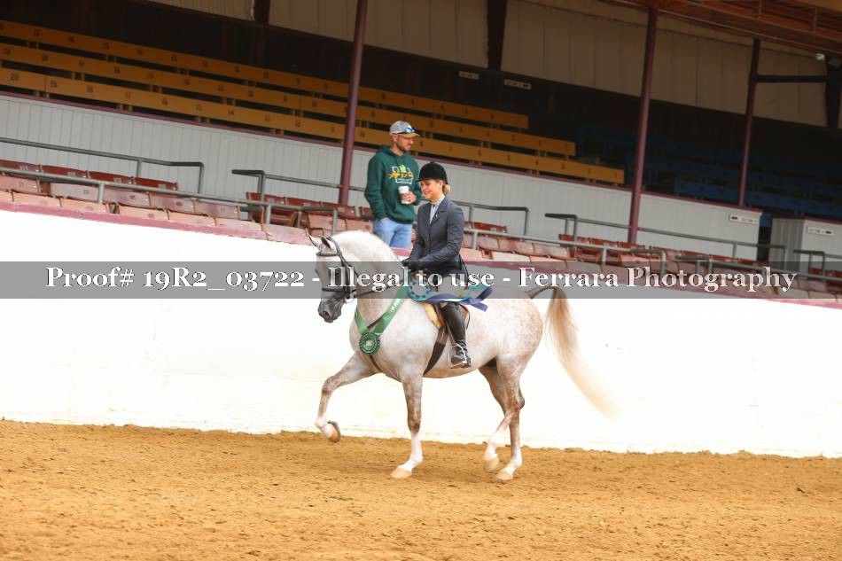 Proof 19R2_03722
