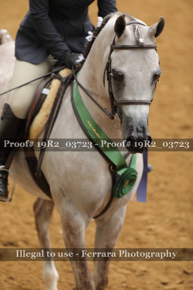 Proof 19R2_03723