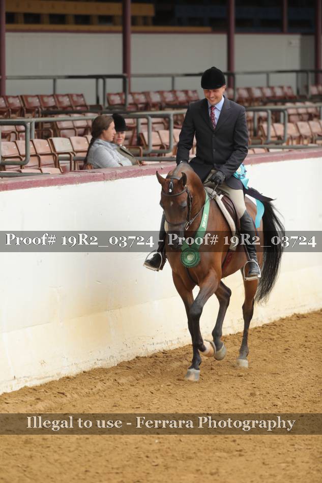 Proof 19R2_03724