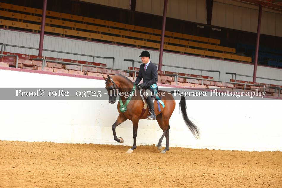 Proof 19R2_03725