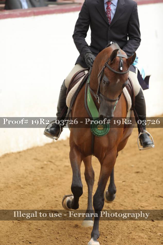 Proof 19R2_03726