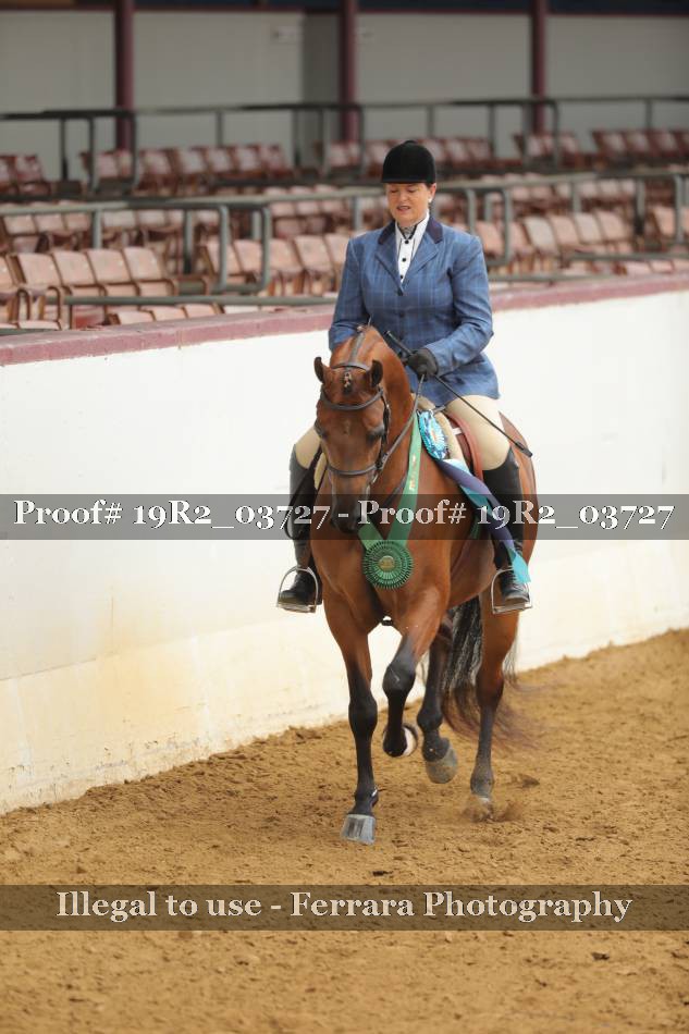 Proof 19R2_03727
