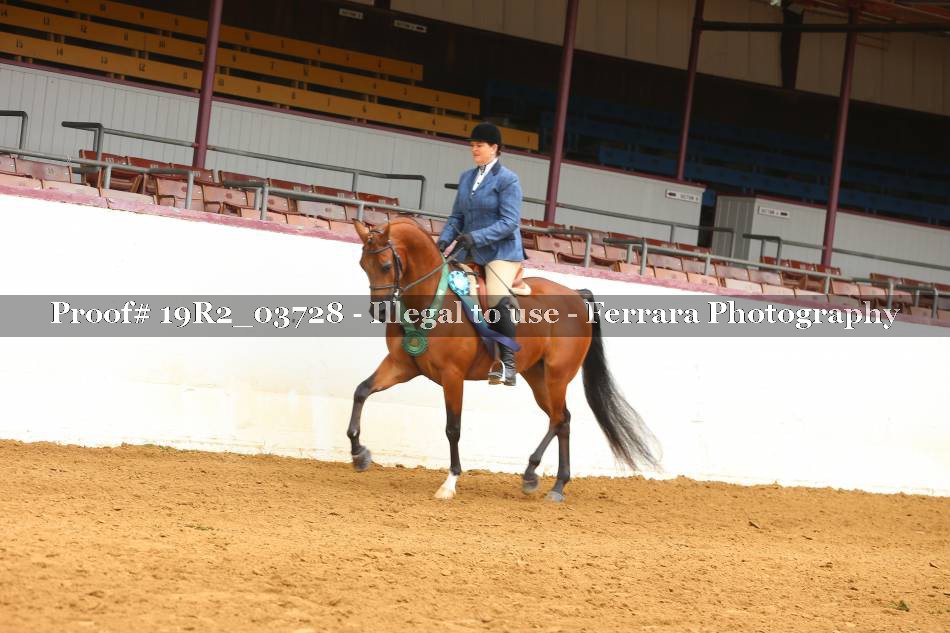 Proof 19R2_03728