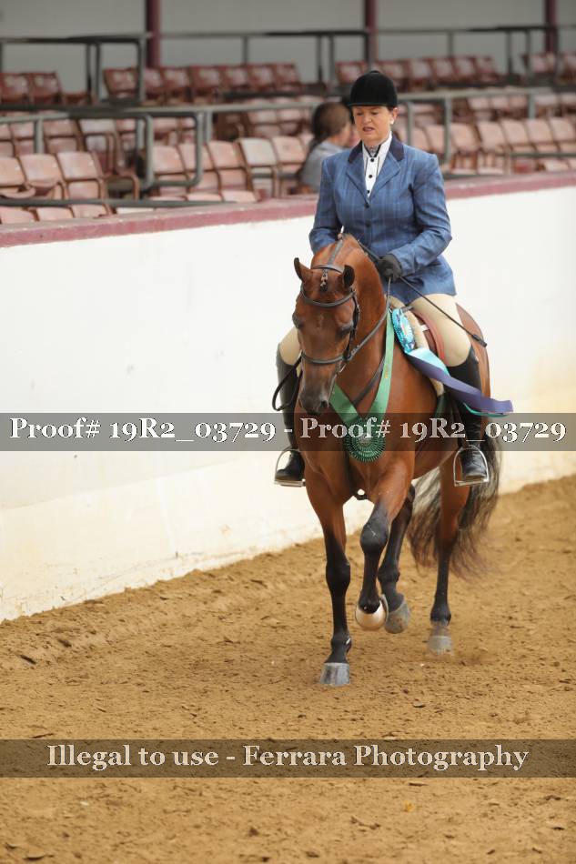 Proof 19R2_03729