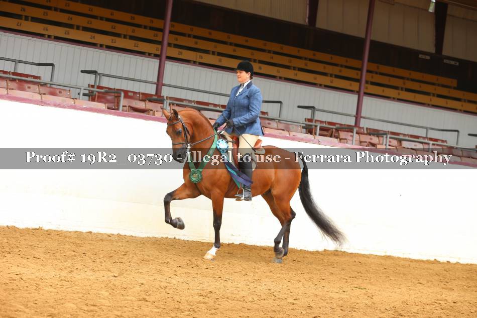 Proof 19R2_03730