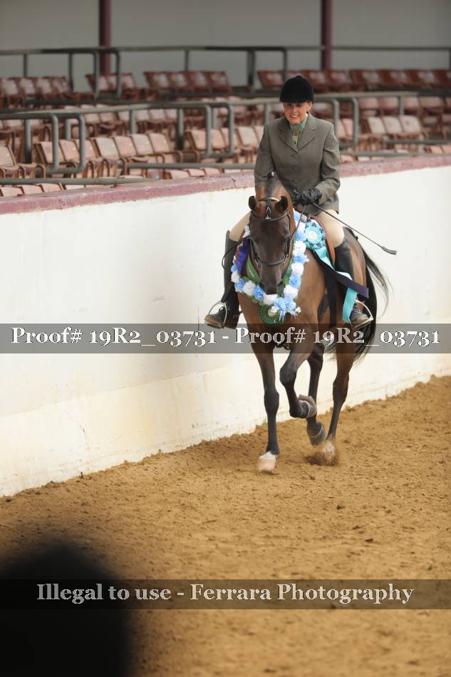 Proof 19R2_03731