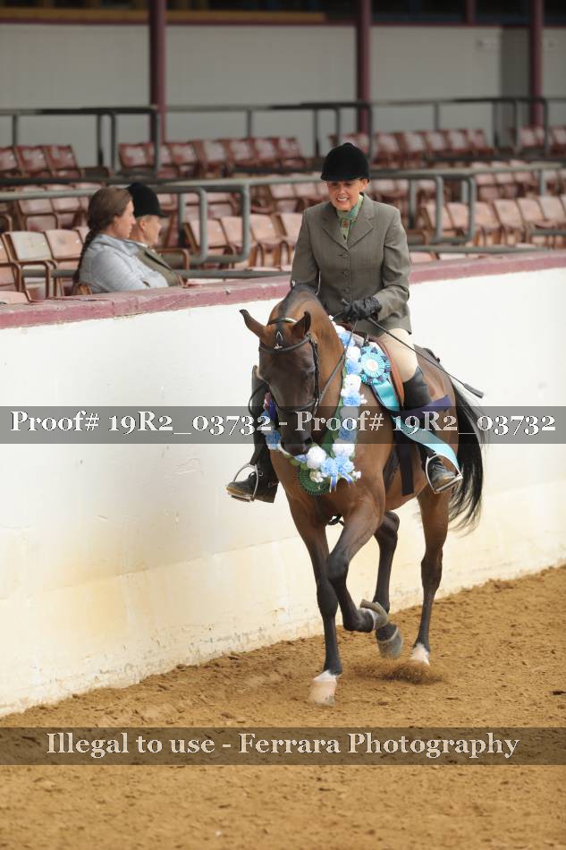 Proof 19R2_03732