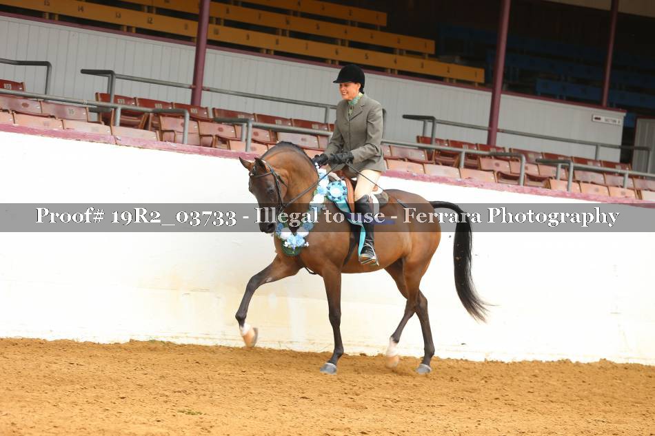 Proof 19R2_03733