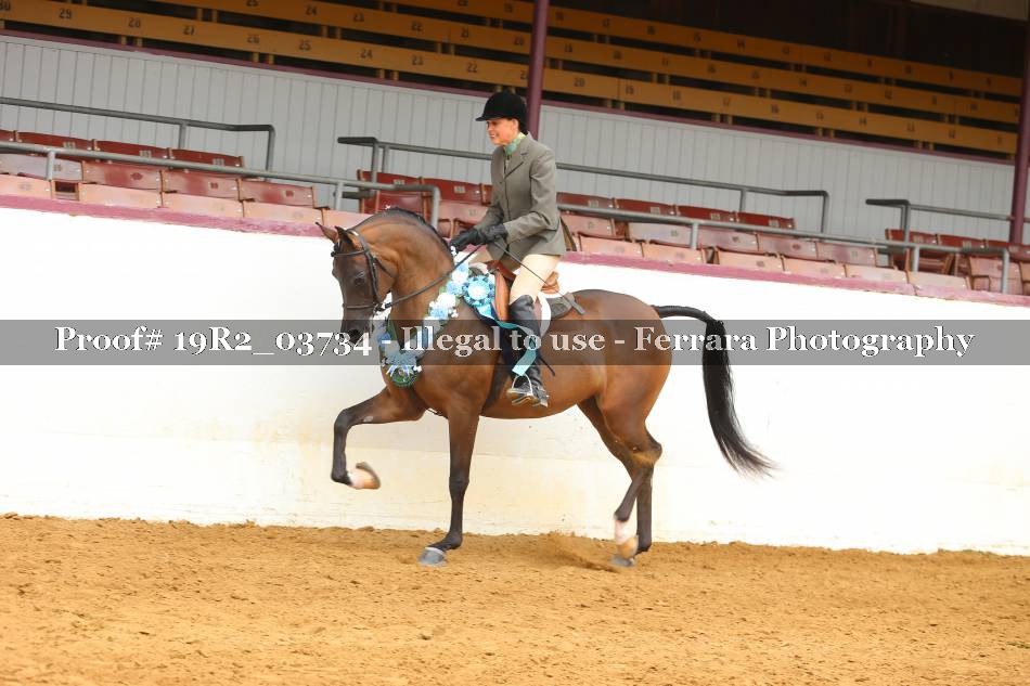 Proof 19R2_03734