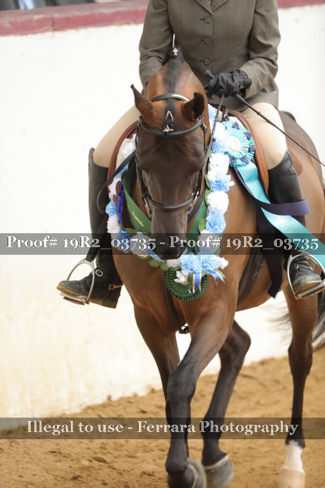 Proof 19R2_03735