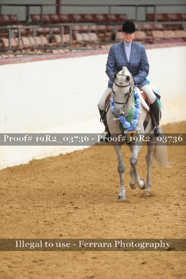 Proof 19R2_03736