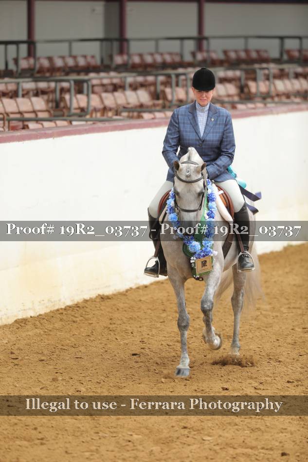 Proof 19R2_03737