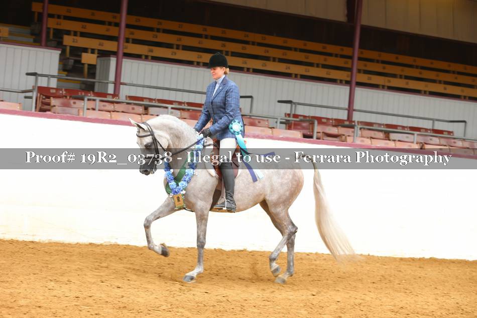 Proof 19R2_03738