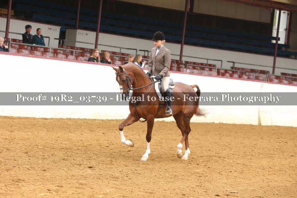 Proof 19R2_03739
