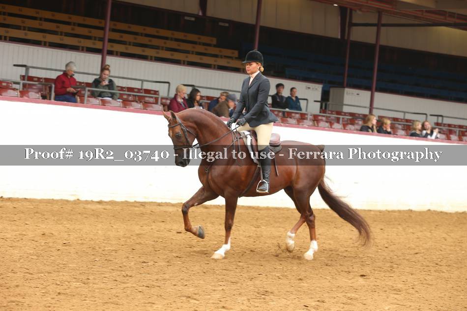 Proof 19R2_03740