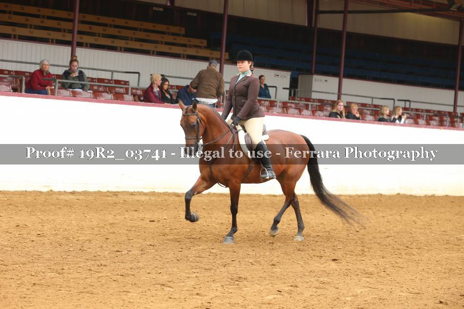 Proof 19R2_03741