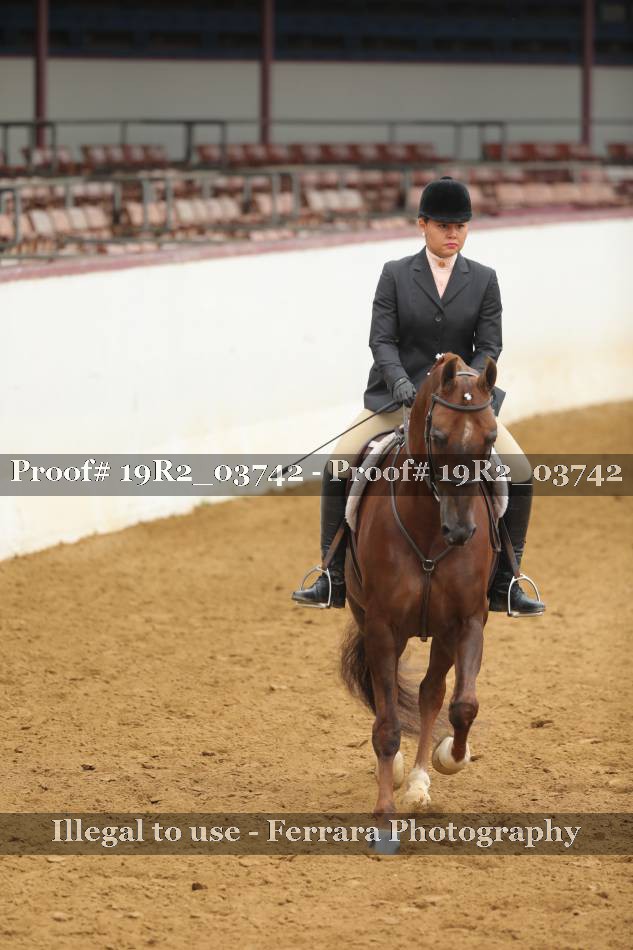 Proof 19R2_03742