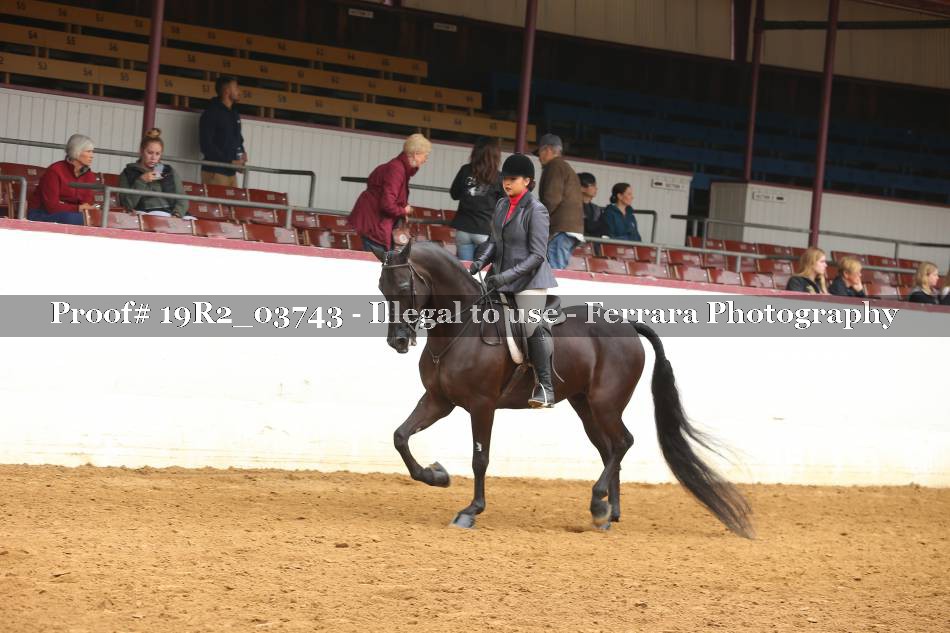 Proof 19R2_03743