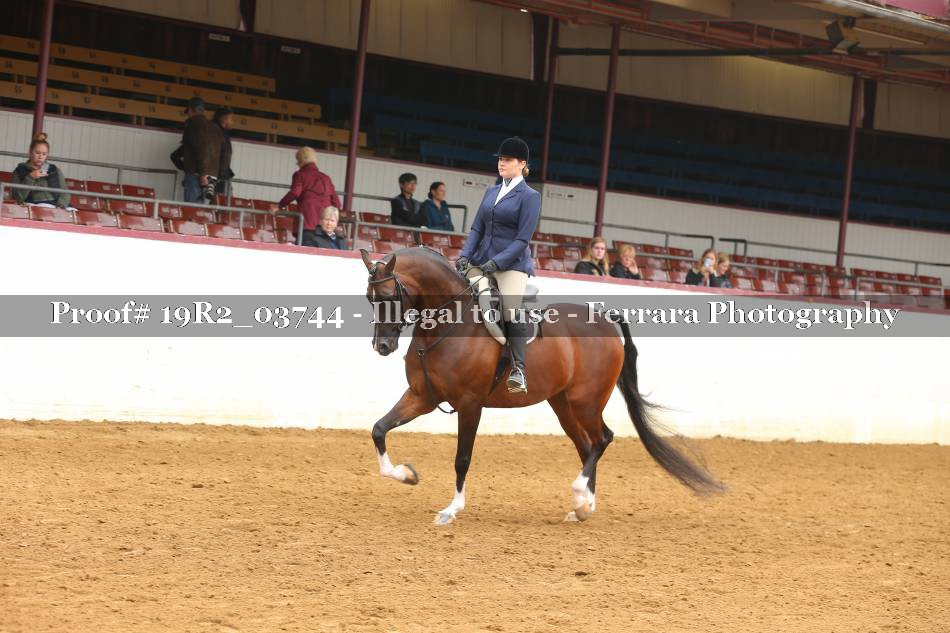 Proof 19R2_03744