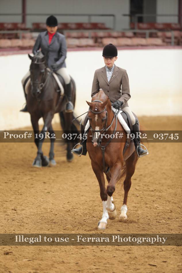 Proof 19R2_03745