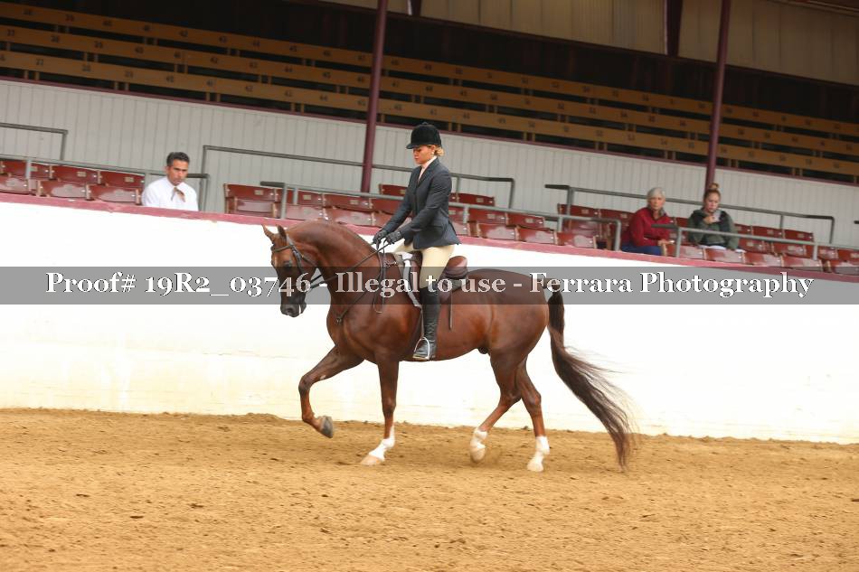 Proof 19R2_03746