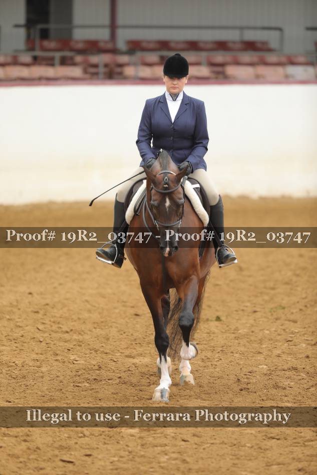 Proof 19R2_03747