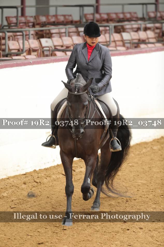 Proof 19R2_03748