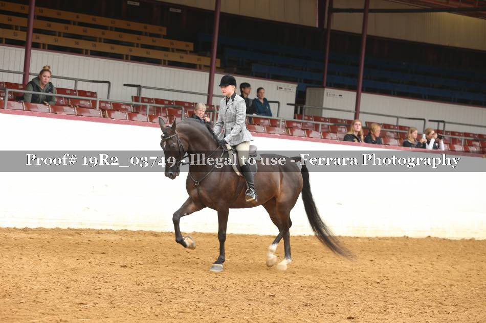 Proof 19R2_03749