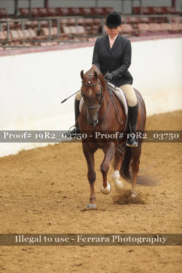 Proof 19R2_03750
